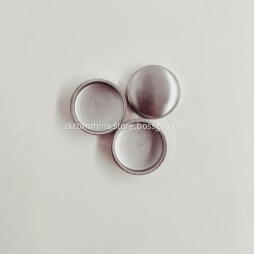 3007635 Cummins Expansion Plug